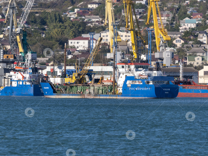 Скачать 22 августа 2025 года, вид порта Новороссийск, Россия, с грузовыми судами и кранами на побережье. Промышленный морской пейзаж на Черном море фотосток Ozero