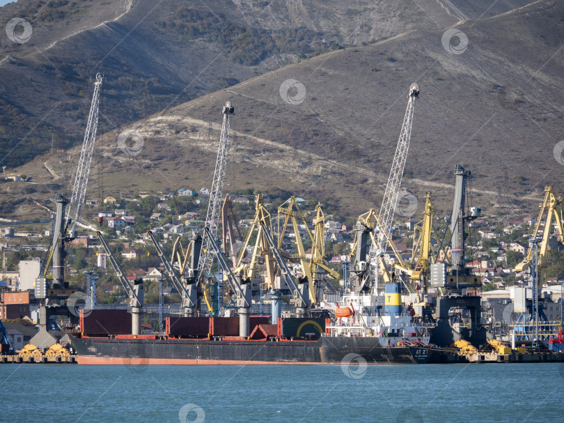 Скачать 22 августа 2025 года, вид порта Новороссийск, Россия, с грузовыми судами и кранами на побережье. Промышленный морской пейзаж на Черном море фотосток Ozero