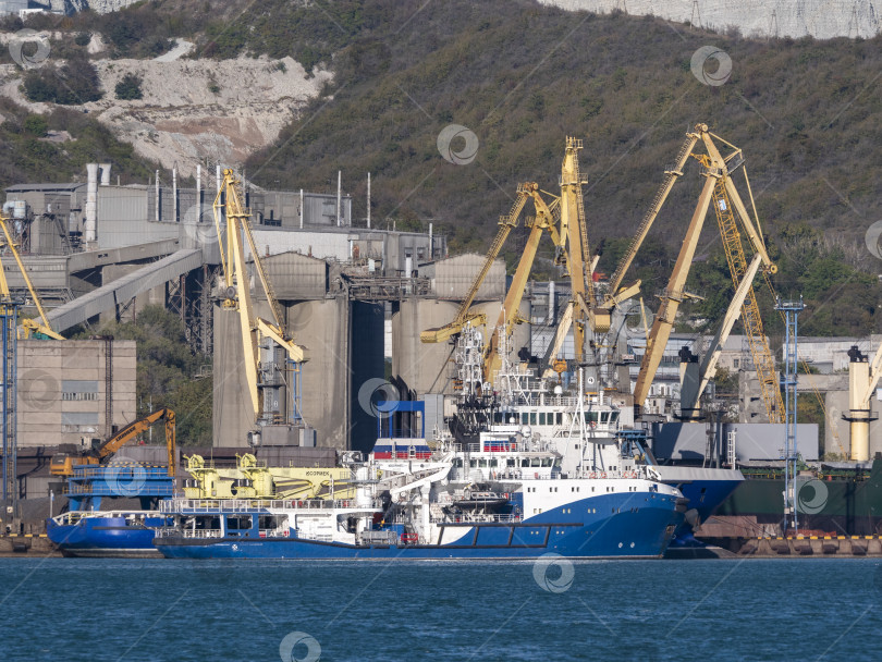 Скачать 22 августа 2025 года, вид порта Новороссийск, Россия, с грузовыми судами и кранами на побережье. Промышленный морской пейзаж на Черном море фотосток Ozero