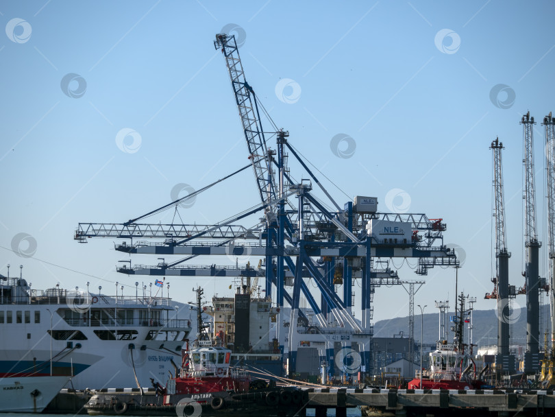 Скачать 22 августа 2025 года, вид порта Новороссийск, Россия, с грузовыми судами и кранами на побережье. Промышленный морской пейзаж на Черном море фотосток Ozero