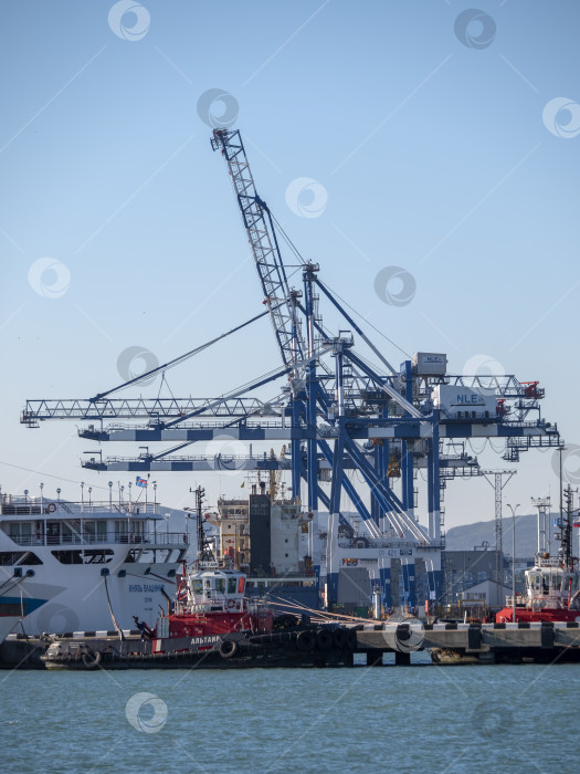 Скачать 22 августа 2025 года, вид порта Новороссийск, Россия, с грузовыми судами и кранами на побережье. Промышленный морской пейзаж на Черном море фотосток Ozero