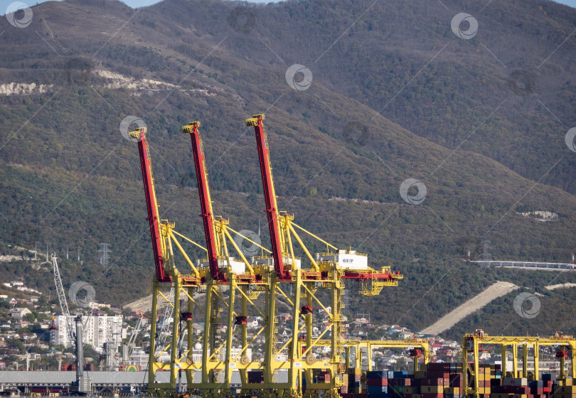 Скачать 22 августа 2025 года, вид порта Новороссийск, Россия, с грузовыми судами и кранами на побережье. Промышленный морской пейзаж на Черном море фотосток Ozero