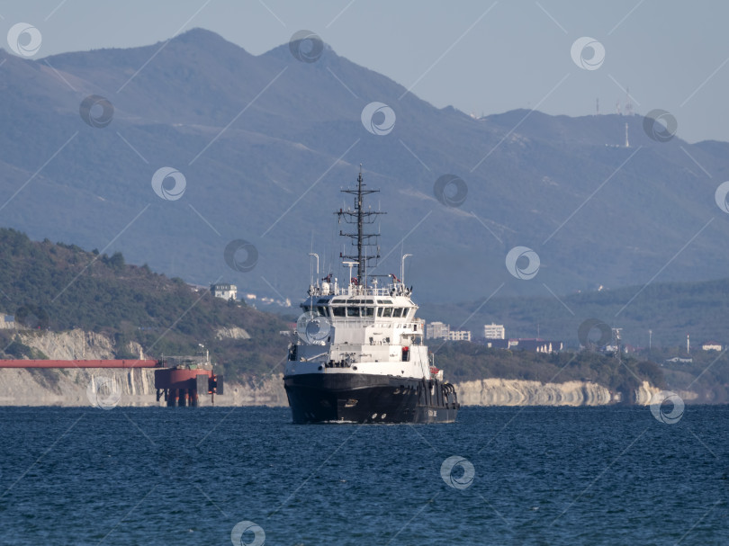 Скачать 22 августа 2025 года, вид порта Новороссийск, Россия, с грузовыми судами и кранами на побережье. Промышленный морской пейзаж на Черном море фотосток Ozero