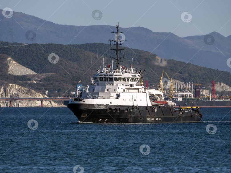 Скачать 22 августа 2025 года, вид порта Новороссийск, Россия, с грузовыми судами и кранами на побережье. Промышленный морской пейзаж на Черном море фотосток Ozero