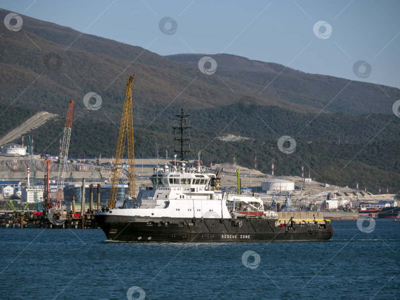 Скачать 22 августа 2025 года, вид порта Новороссийск, Россия, с грузовыми судами и кранами на побережье. Промышленный морской пейзаж на Черном море фотосток Ozero