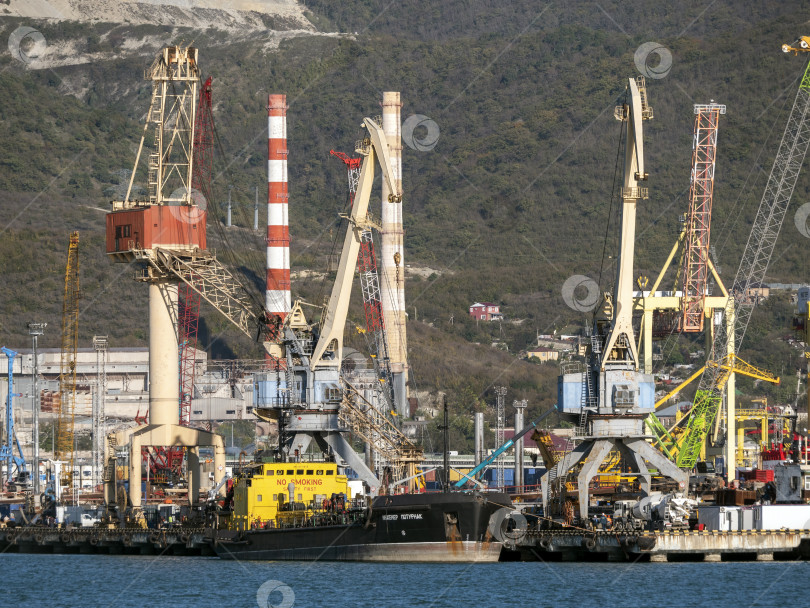 Скачать 22 августа 2025 года, вид порта Новороссийск, Россия, с грузовыми судами и кранами на побережье. Промышленный морской пейзаж на Черном море фотосток Ozero