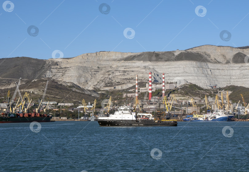 Скачать 22 августа 2025 года Вид порта Новороссийск, Россия, с грузовыми судами и кранами на побережье. Промышленный морской пейзаж на Черном море фотосток Ozero