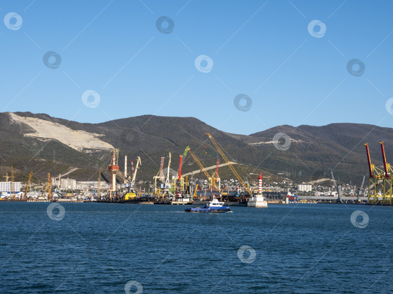 Скачать 22 августа 2025 года, вид порта Новороссийск, Россия, с грузовыми судами и кранами на побережье. Промышленный морской пейзаж на Черном море фотосток Ozero