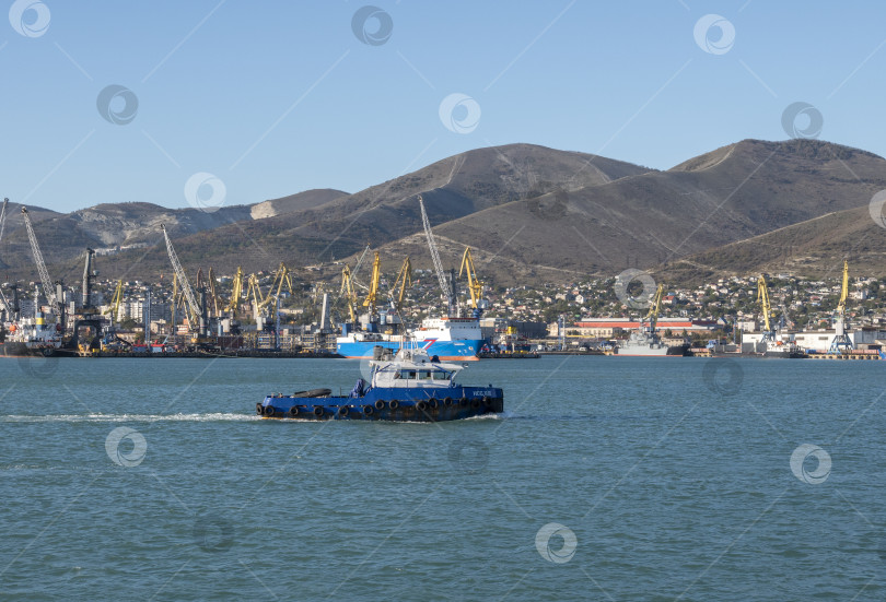 Скачать 22 августа 2025 года, вид порта Новороссийск, Россия, с грузовыми судами и кранами на побережье. Промышленный морской пейзаж на Черном море фотосток Ozero