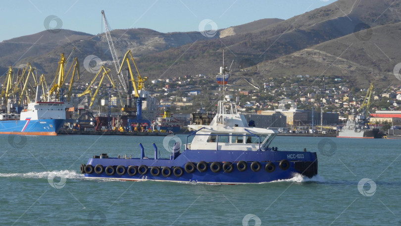 Скачать 22 августа 2025 года, вид порта Новороссийск, Россия, с грузовыми судами и кранами на побережье. Промышленный морской пейзаж на Черном море фотосток Ozero