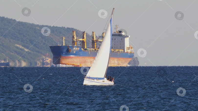 Скачать 24 августа 2025 года: Крупное грузовое судно заходит в порт Новороссийска, Россия, на Черном море, демонстрируя морской транспорт, промышленное судоходство и береговую инфраструктуру. фотосток Ozero