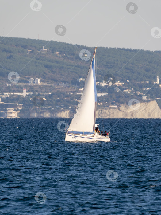 Скачать 22 августа 2025 года Парусная яхта "Успех" с белыми парусами на Черном море недалеко от Новороссийска, Россия. Прогулочная яхта движется вдоль береговой линии. фотосток Ozero