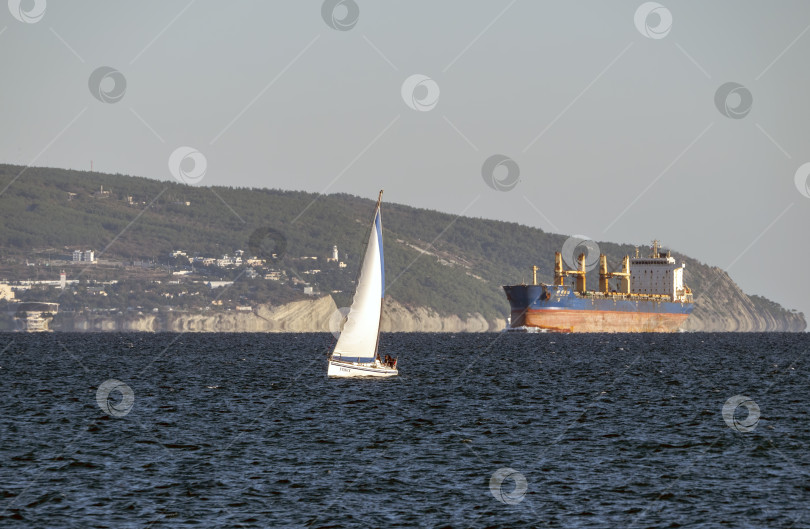 Скачать 22 августа 2025 года Грузовое судно на заднем плане, в то время как парусная яхта проходит на переднем плане вблизи порта Новороссийск, Россия. Морское сообщение на Черном море. фотосток Ozero