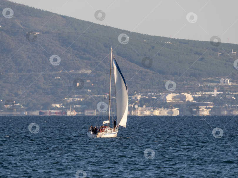 Скачать 22 августа 2025 года Парусная яхта "Успех" с белыми парусами на Черном море недалеко от Новороссийска, Россия. Прогулочная яхта движется вдоль береговой линии. фотосток Ozero