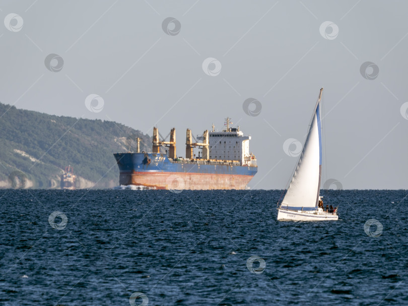 Скачать 22 августа 2025 года Грузовое судно на заднем плане, в то время как парусная яхта проходит на переднем плане вблизи порта Новороссийск, Россия. Морское сообщение на Черном море. фотосток Ozero