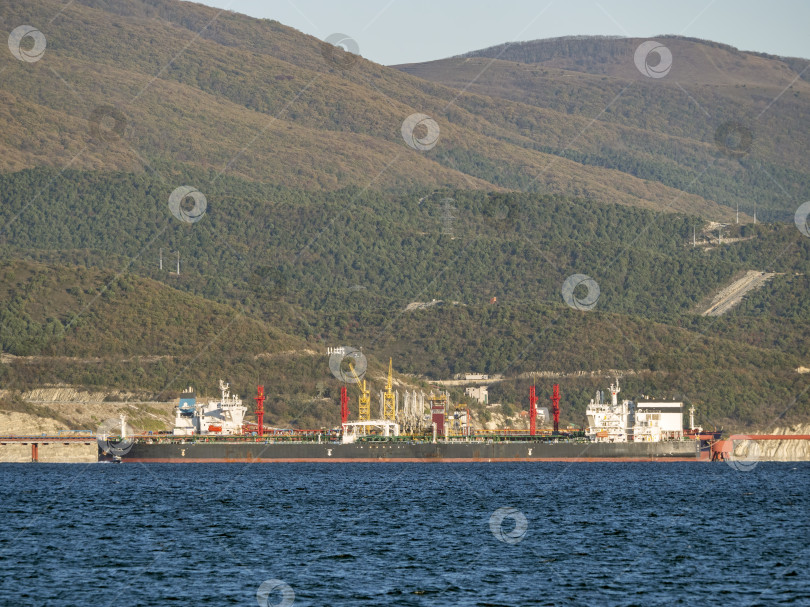 Скачать 22 августа 2025 года грузовое судно "Африка" плывет по Черному морю недалеко от Новороссийска, Россия. Крупное коммерческое судно движется вдоль береговой линии. фотосток Ozero