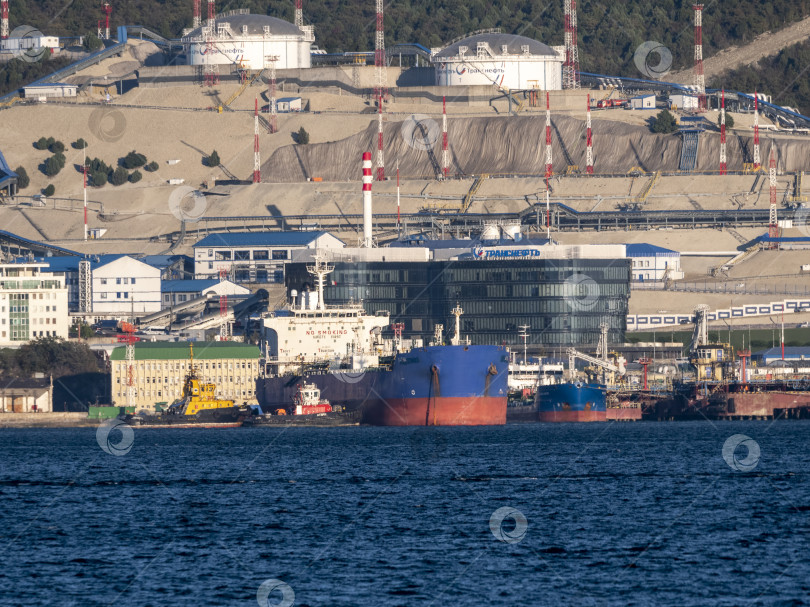 Скачать 22 августа 2025 года, вид порта Новороссийск, Россия, с грузовыми судами и кранами на побережье. Промышленный морской пейзаж на Черном море фотосток Ozero