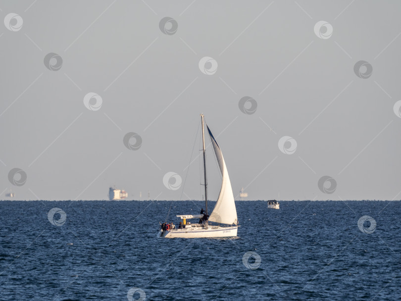 Скачать 22 августа 2025 года Парусная яхта "Успех" с белыми парусами на Черном море недалеко от Новороссийска, Россия. Прогулочная яхта движется вдоль береговой линии. фотосток Ozero