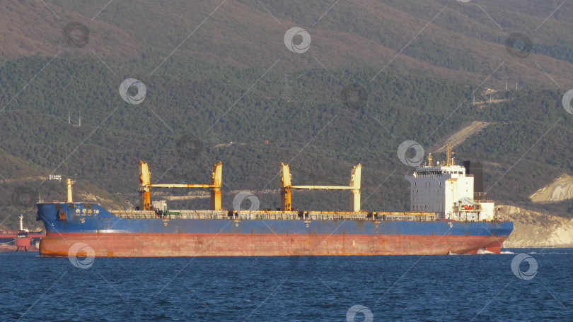 Скачать 24 августа 2025 года: Крупное грузовое судно заходит в порт Новороссийска, Россия, на Черном море, демонстрируя морской транспорт, промышленное судоходство и береговую инфраструктуру. фотосток Ozero