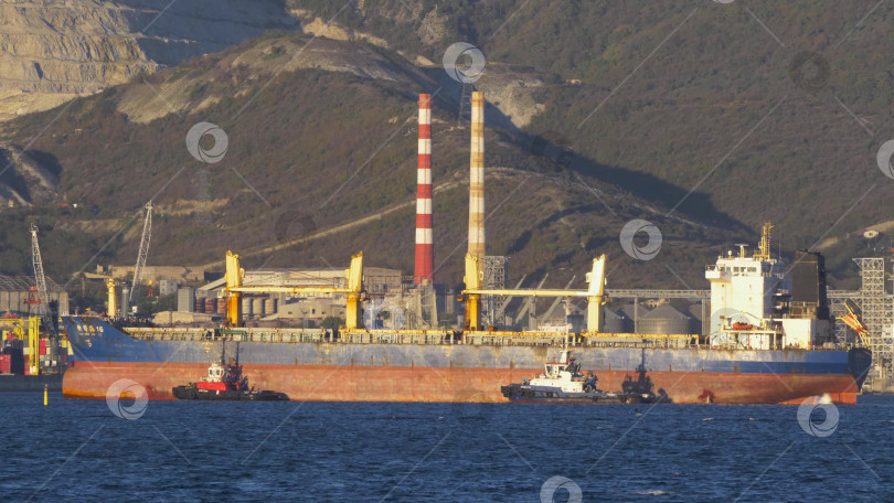 Скачать 24 августа 2025 года: Крупное грузовое судно заходит в порт Новороссийска, Россия, на Черном море, демонстрируя морской транспорт, промышленное судоходство и береговую инфраструктуру. фотосток Ozero
