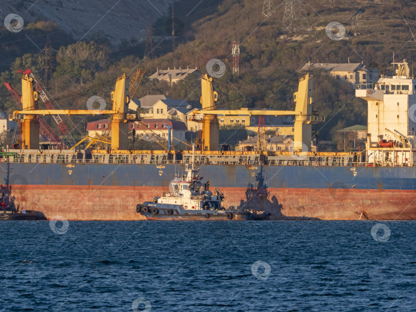 Скачать 22 августа 2025 года крупное грузовое судно Kual Bang Hai 16 заходит в порт Новороссийск, Россия. Коммерческое судно прибывает в черноморский порт. фотосток Ozero