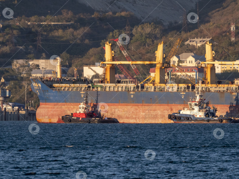 Скачать 22 августа 2025 года крупное грузовое судно Kual Bang Hai 16 заходит в порт Новороссийск, Россия. Коммерческое судно прибывает в черноморский порт. фотосток Ozero
