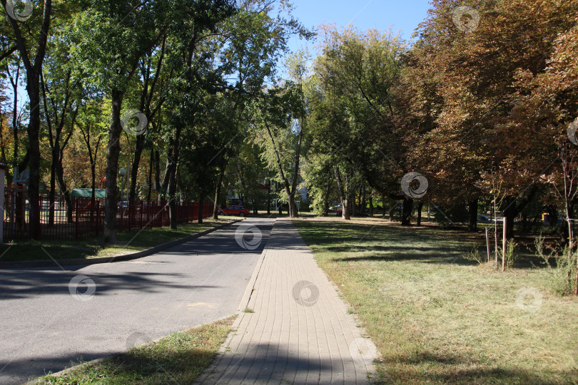Скачать Безмятежная прогулка на природе. Тихая открытая дорожка, окаймленная сочной травой и уютной тенью деревьев фотосток Ozero