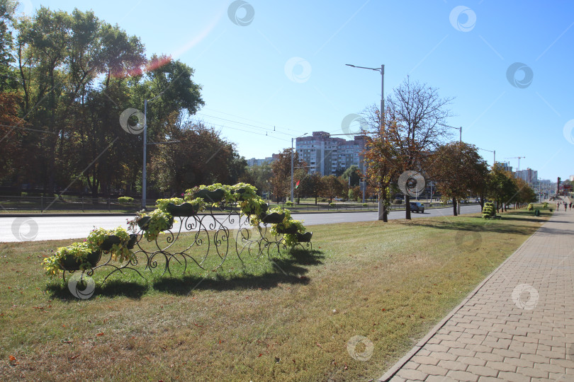 Скачать Беларусь, Минск - 22.09.2024: Проспект спокойного микрорайона, демонстрирующий продуманный городской дизайн в сочетании с природой и спокойной атмосферой фотосток Ozero