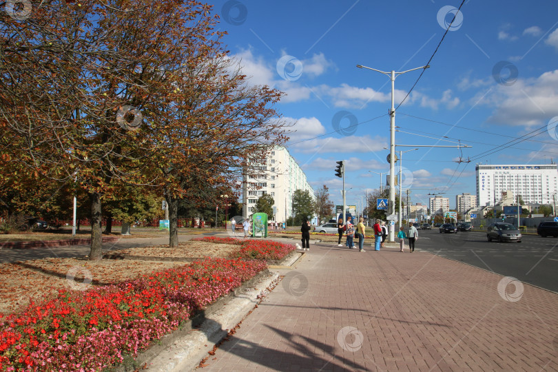 Скачать Беларусь, Минск - 22.09.2024: Утренний город, пешеходы переходят дорогу. Осенняя городская улица с оживленными пешеходами фотосток Ozero