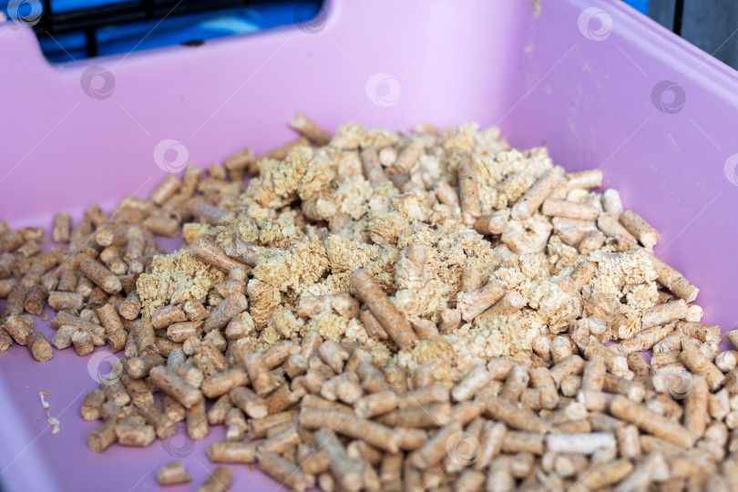 Скачать Домашняя интерьерная сцена, демонстрирующая биоразлагаемый наполнитель для кошачьего туалета с розовым ободком и текстурированной поверхностью фотосток Ozero