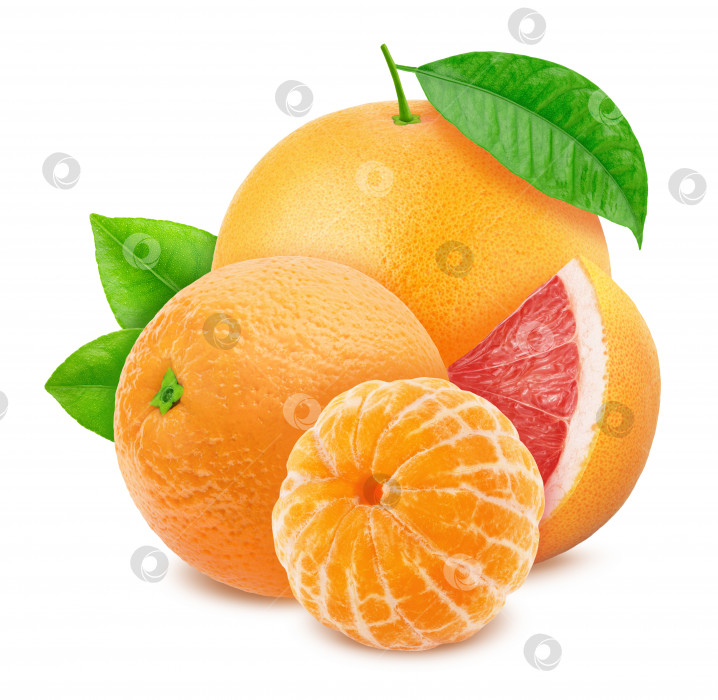 Скачать Разноцветная композиция с различными цитрусовыми фруктами - грейпфрутом, апельсином и мандарином, выделенными на белом фоне. фотосток Ozero