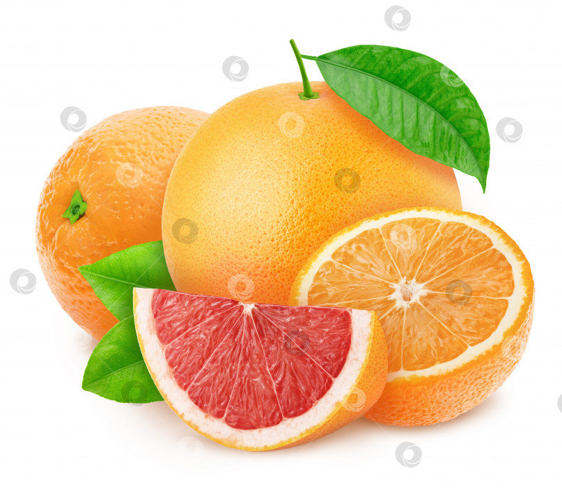 Скачать Разноцветная композиция с разными цитрусовыми фруктами - грейпфрутом и апельсином, выделенными на белом фоне. фотосток Ozero