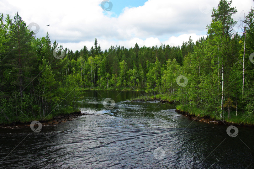 Скачать Тихая заводь фотосток Ozero