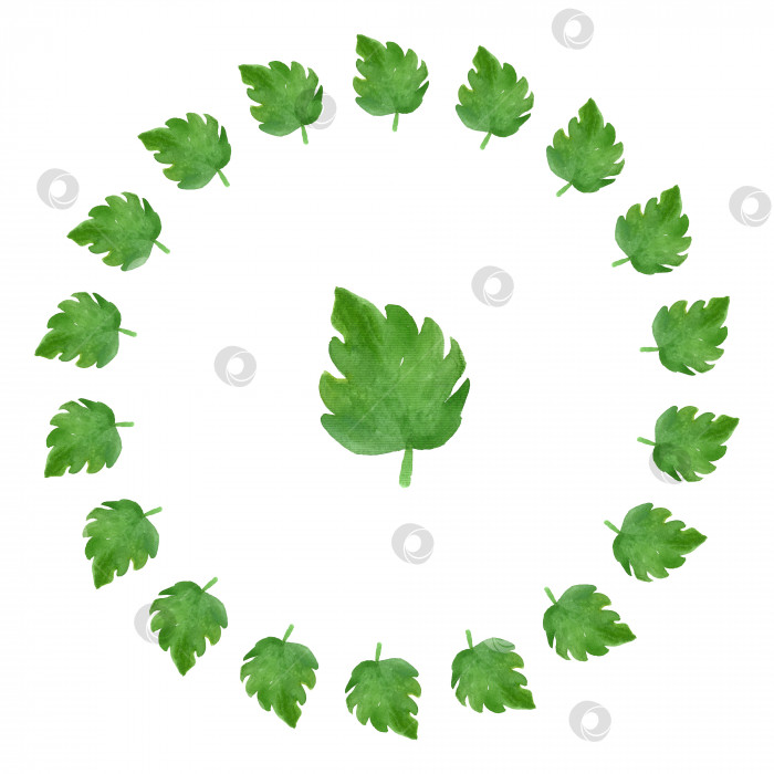 Скачать Акварельная иллюстрация в круглой рамке из зеленых листьев. фотосток Ozero