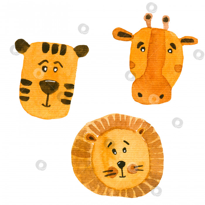 Скачать Акварельный набор "Африканские оранжевые животные" для детей. фотосток Ozero