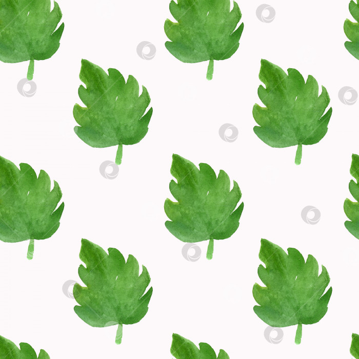 Скачать Бесшовный акварельный узор из зеленых листьев монстеры. фотосток Ozero
