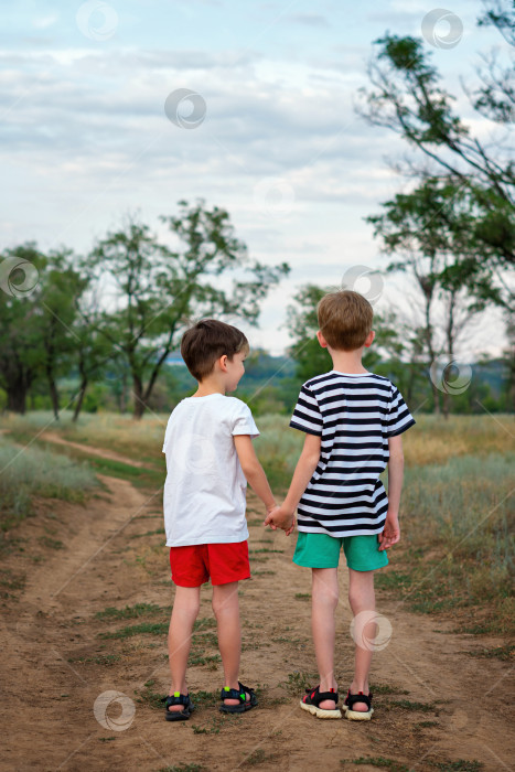Скачать Два младших брата гуляют по сельской местности фотосток Ozero