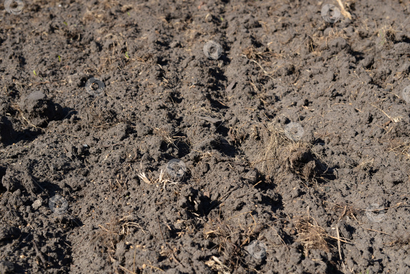 Скачать Фон с текстурой почвы. Суглинистая почва, вспаханное сельскохозяйственное поле, пахотная земля, сухая земля крупным планом фотосток Ozero