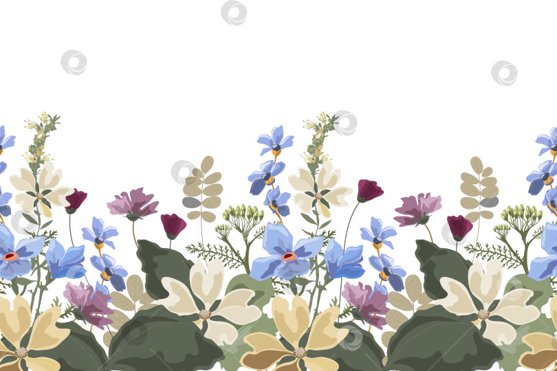 Скачать Векторный цветочный бесшовный узор, кайма фотосток Ozero