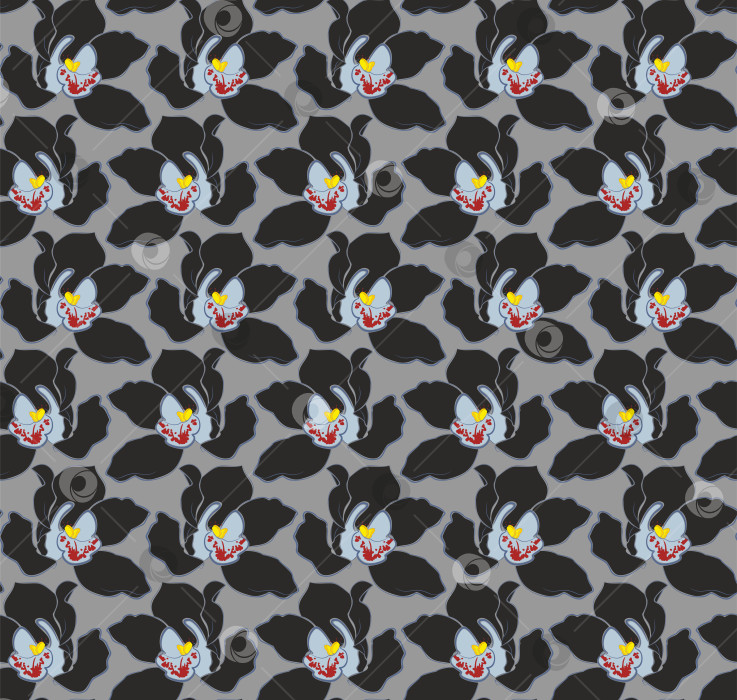 Скачать Бесшовный фон с орхидеями. фотосток Ozero