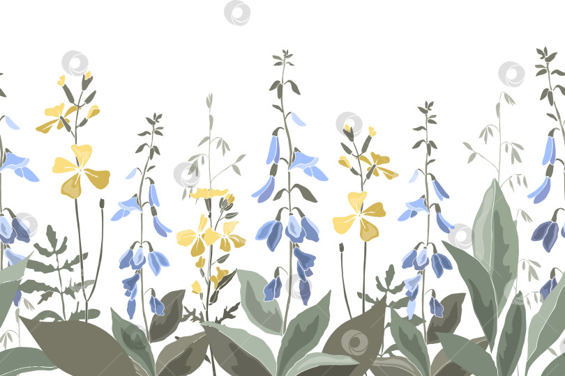 Скачать Векторный цветочный бесшовный узор, обрамленный луговыми цветами и травами фотосток Ozero