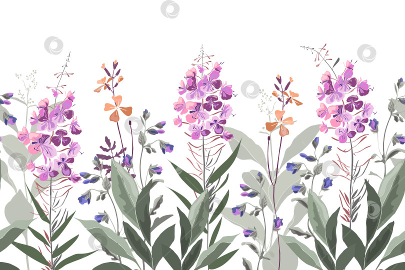 Скачать Векторный цветочный бесшовный узор, кайма из иван-чая фотосток Ozero