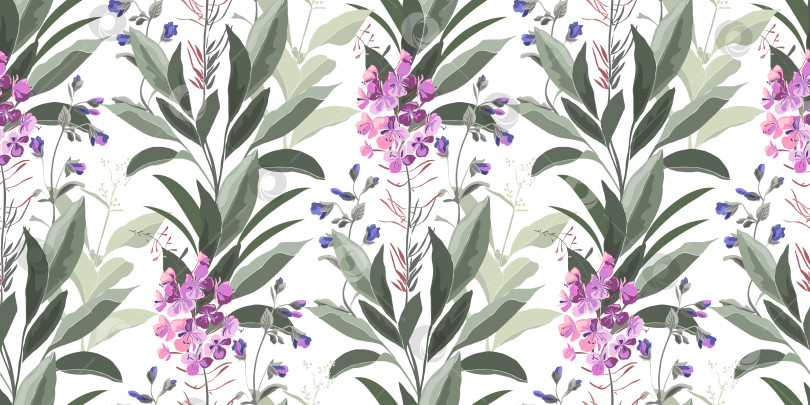 Скачать Векторный цветочный бесшовный узор с иван-чаем фотосток Ozero