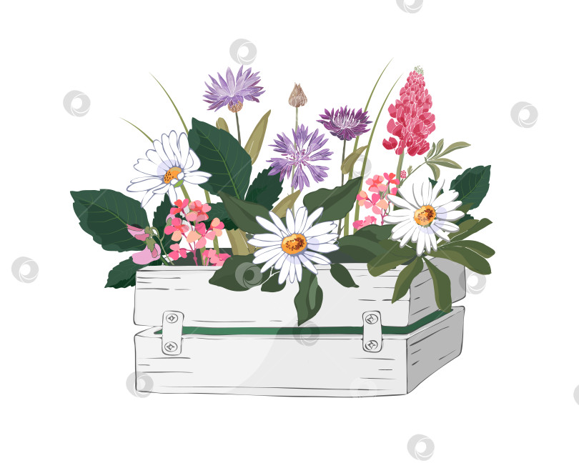 Скачать Векторные цветы в садовой деревянной белой коробке. фотосток Ozero