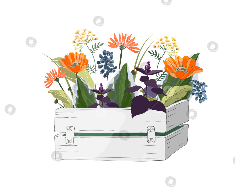 Скачать Векторные цветы в деревянной белой коробке в саду фотосток Ozero