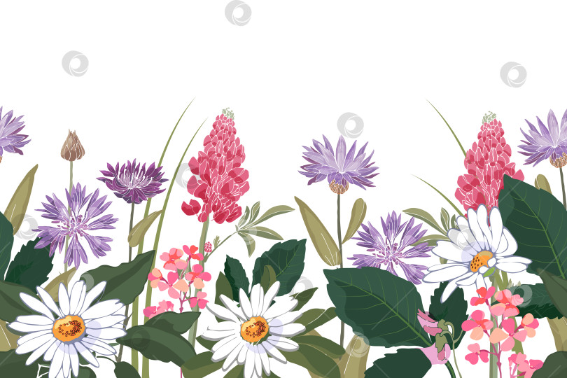 Скачать Векторный цветочный бесшовный узор, кайма с цветами, листьями и травами фотосток Ozero