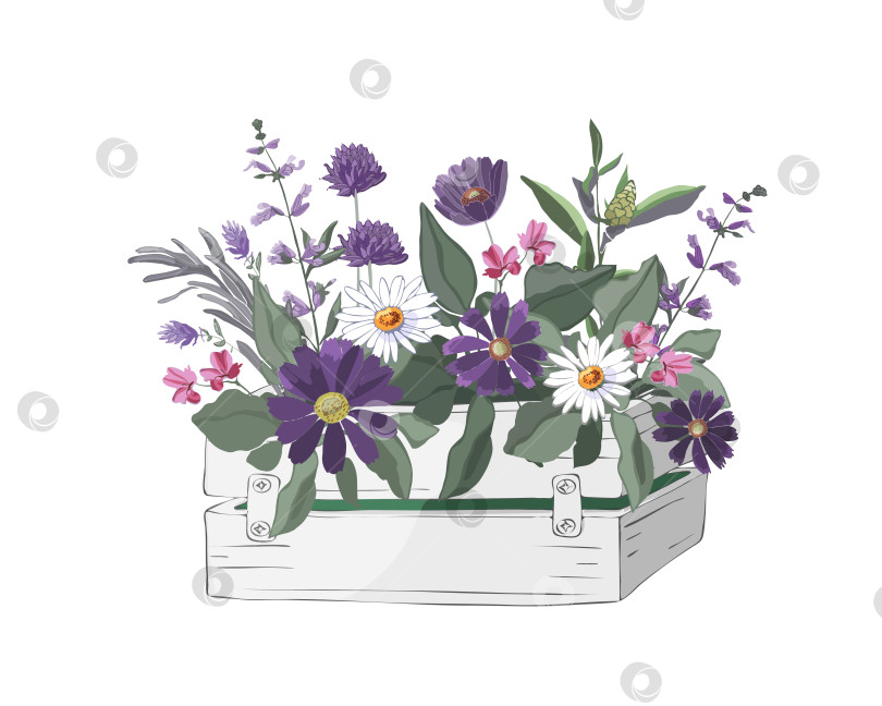 Скачать Векторные цветы и травы в деревянной белой коробке в саду фотосток Ozero
