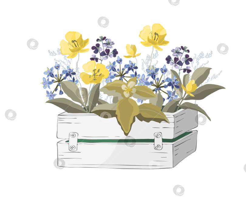 Скачать Векторные цветы и травы в деревянной белой коробке в саду фотосток Ozero