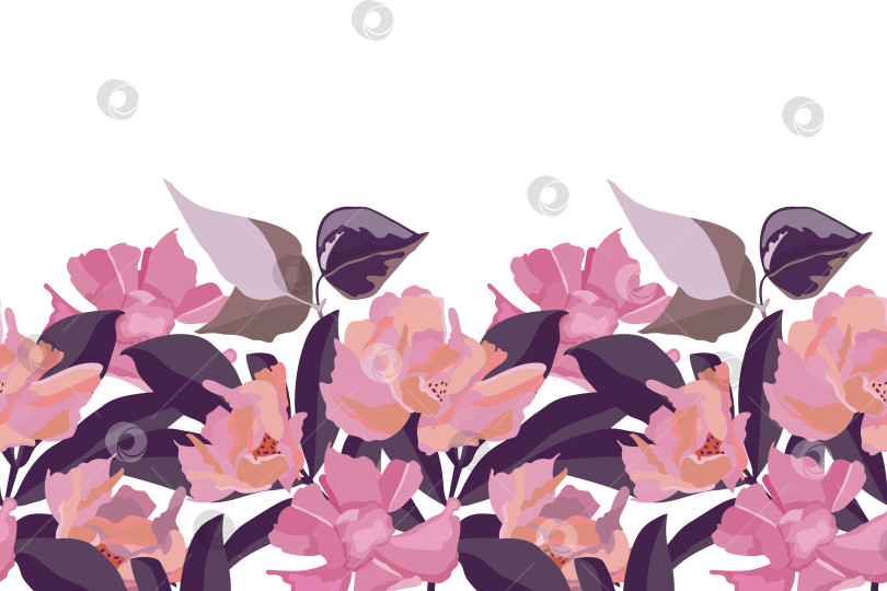 Скачать Векторный цветочный бесшовный узор, кайма фотосток Ozero