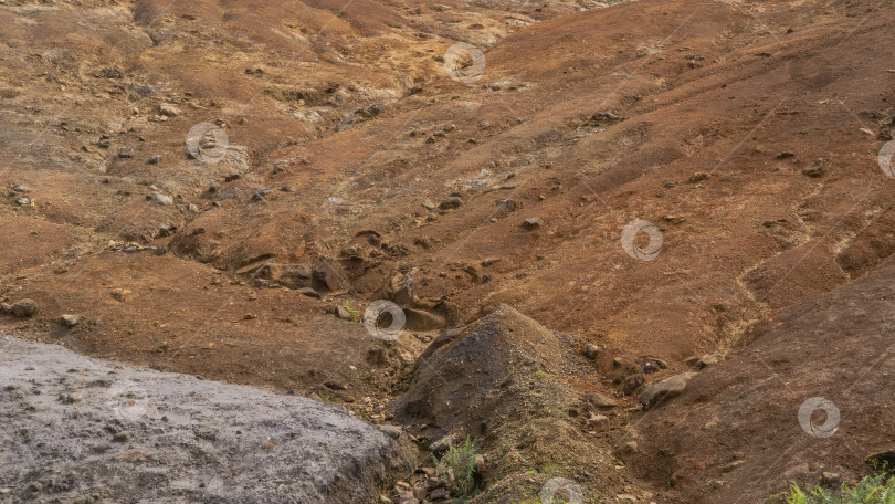 Скачать Уникальный красочный песчаный холм. Борозды, галька на склоне. Текстура. Крупный план. Маврикий. Земля 23 цветов. Природный парк Ла-Валле-де-Кулер фотосток Ozero